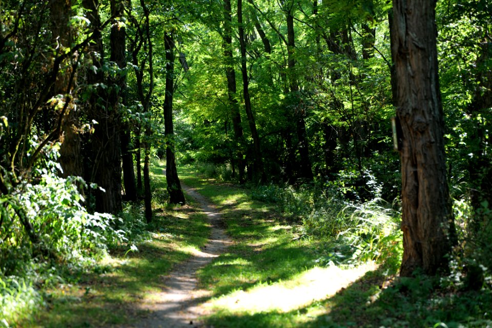 Herrensee, Lange-Damm-Wiesen und Barnim-Hänge 2020-08-05 166