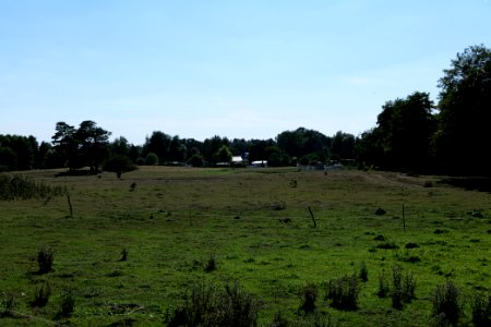 Herrensee, Lange-Damm-Wiesen und Barnim-Hänge 2020-08-05 181