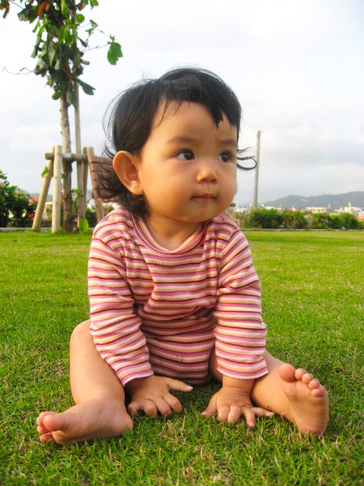 Cute border japanese