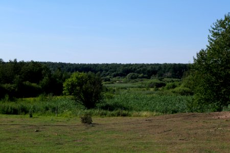 Herrensee, Lange-Damm-Wiesen und Barnim-Hänge 2020-08-05 178