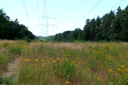 Herrensee, Lange-Damm-Wiesen und Barnim-Hänge 2020-08-05 08