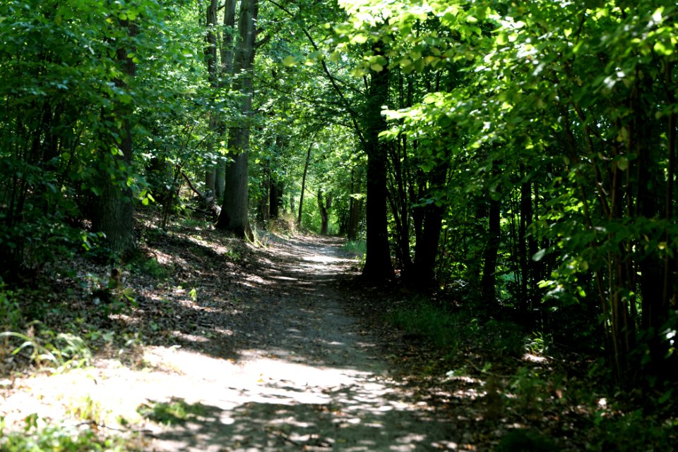 Herrensee, Lange-Damm-Wiesen und Barnim-Hänge 2020-08-05 104