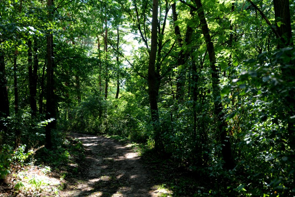 Herrensee, Lange-Damm-Wiesen und Barnim-Hänge 2020-08-05 171