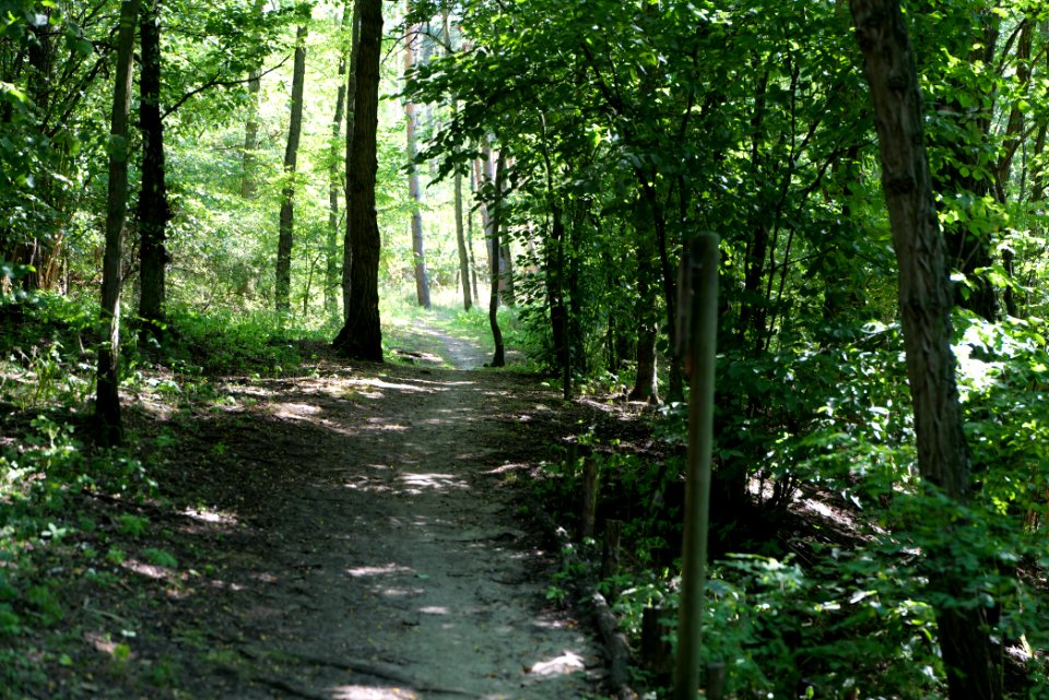 Herrensee, Lange-Damm-Wiesen und Barnim-Hänge 2020-08-05 163