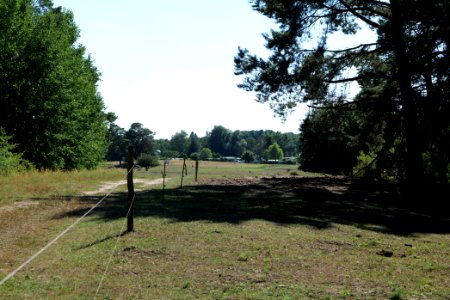 Herrensee, Lange-Damm-Wiesen und Barnim-Hänge 2020-08-05 173