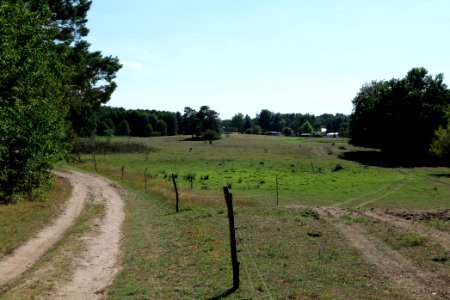 Herrensee, Lange-Damm-Wiesen und Barnim-Hänge 2020-08-05 176