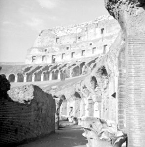 Het Flavisch amfitheater ofwel Colosseum, Bestanddeelnr 191-1221