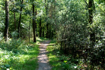Herrensee, Lange-Damm-Wiesen und Barnim-Hänge 2020-08-05 170