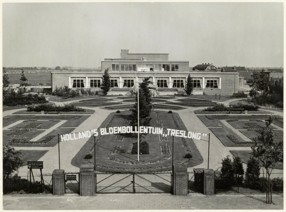 Het gebouwencomplex Treslong in Hillegom in 1952
