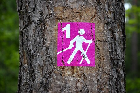 Tree run pictogram
