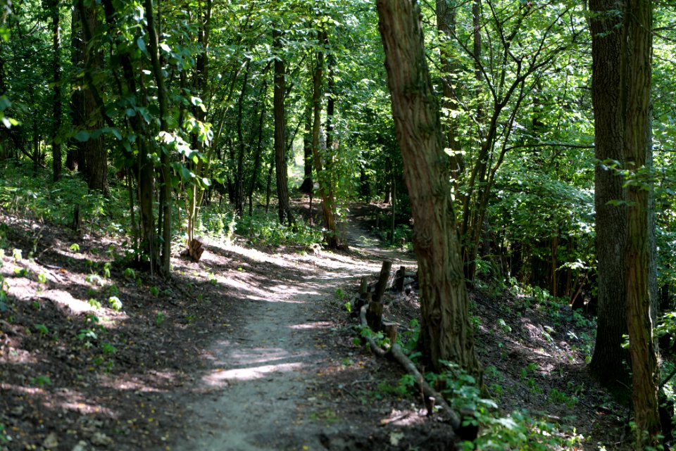 Herrensee, Lange-Damm-Wiesen und Barnim-Hänge 2020-08-05 158