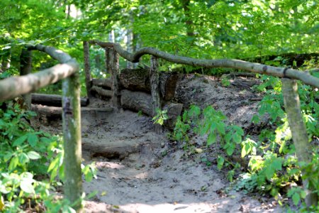 Herrensee, Lange-Damm-Wiesen und Barnim-Hänge 2020-08-05 154