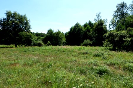 Herrensee, Lange-Damm-Wiesen und Barnim-Hänge 2020-08-05 133