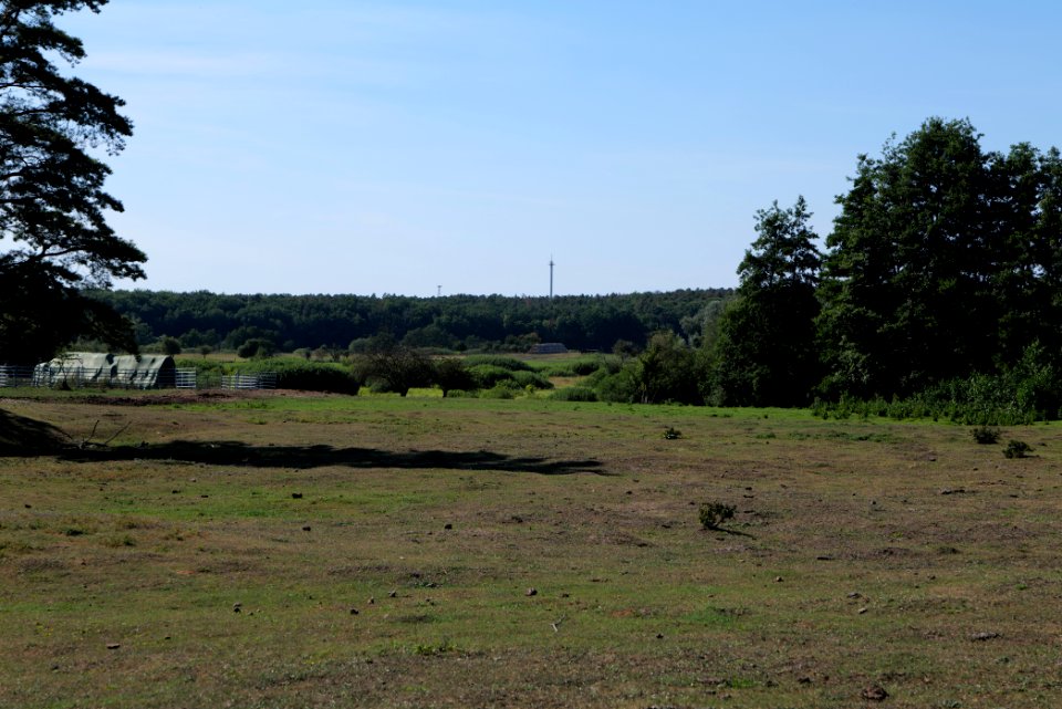 Herrensee, Lange-Damm-Wiesen und Barnim-Hänge 2020-08-05 184