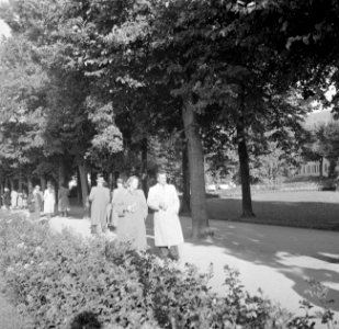 Het Kurpark van Bad Mergentheim, Bestanddeelnr 254-1879