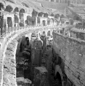 Het Flavisch amfitheater ofwel Colosseum, Bestanddeelnr 191-1223