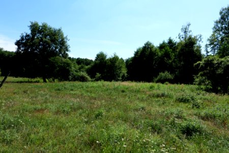 Herrensee, Lange-Damm-Wiesen und Barnim-Hänge 2020-08-05 132