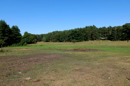 Herrensee, Lange-Damm-Wiesen und Barnim-Hänge 2020-08-05 193