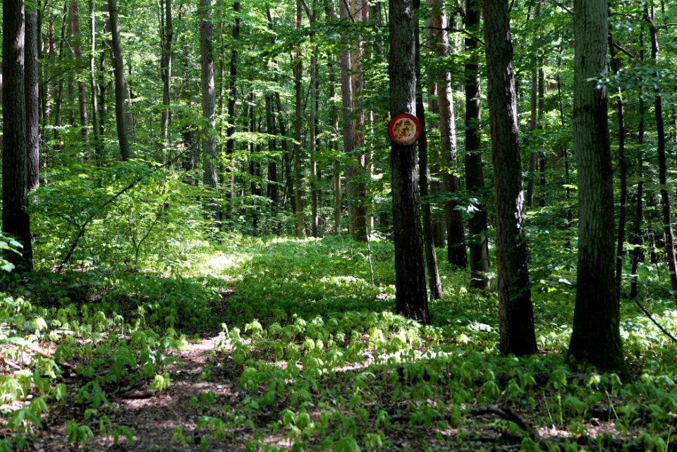 Herrensee, Lange-Damm-Wiesen und Barnim-Hänge 2020-08-05 107