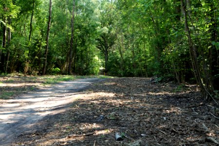 Herrensee, Lange-Damm-Wiesen und Barnim-Hänge 2020-08-05 123