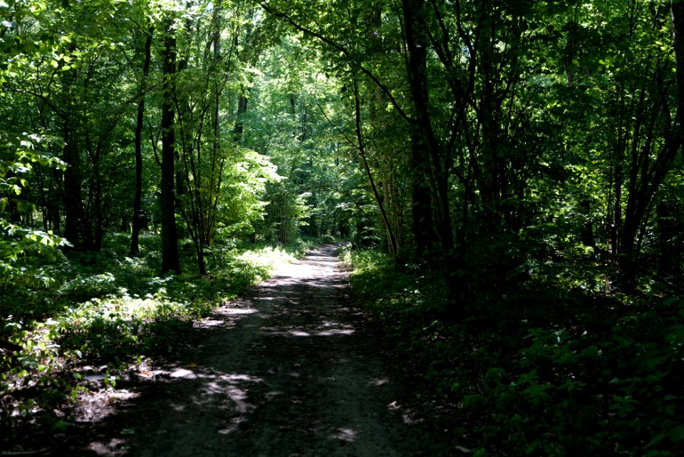 Herrensee, Lange-Damm-Wiesen und Barnim-Hänge 2020-08-05 102