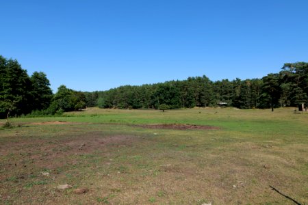Herrensee, Lange-Damm-Wiesen und Barnim-Hänge 2020-08-05 192