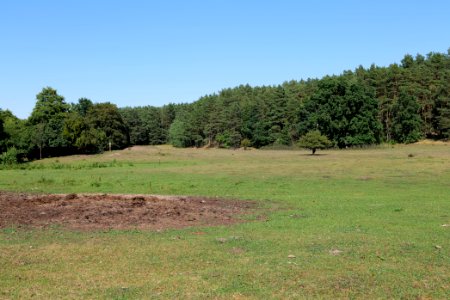Herrensee, Lange-Damm-Wiesen und Barnim-Hänge 2020-08-05 191