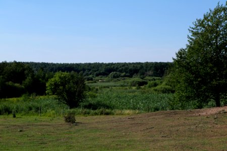 Herrensee, Lange-Damm-Wiesen und Barnim-Hänge 2020-08-05 177