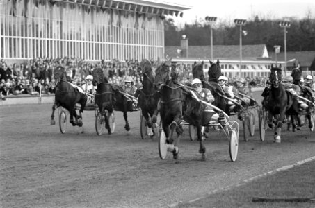 Het Gouden Paard op Hilversumse renbaan Kees Verkerk (nr 5) met G Eykelenborg, Bestanddeelnr 927-7018