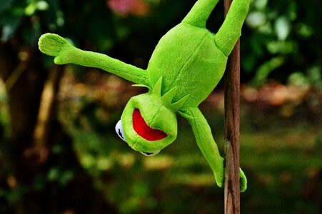 Soft toy animal toys