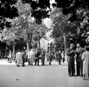 Het Kurpark van Bad Mergentheim met op de achtergrond het Kurhaus, Bestanddeelnr 254-1876