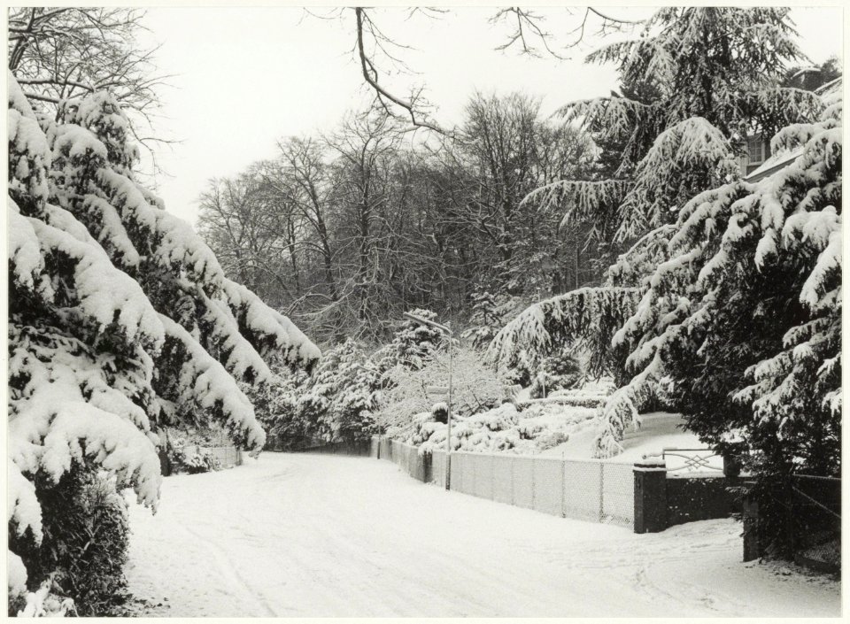 Het Kopje van Bloemendaal in de sneeuw. NL-HlmNHA 54015759