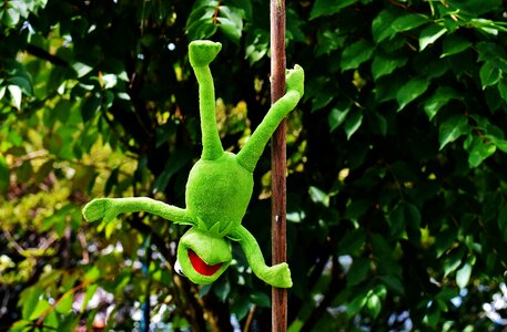 Soft toy animal toys