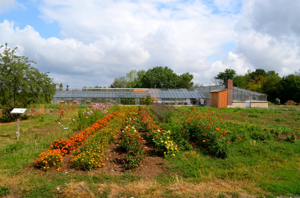 Hessenpark, Gärtnerei aus Rechtenbach (1)