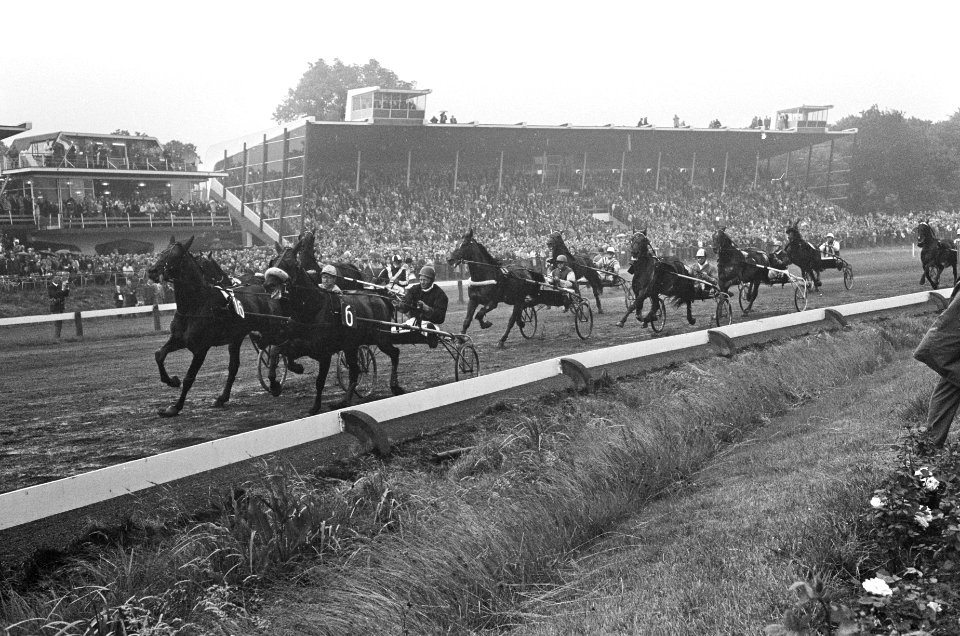 Het grote veld van paarden onderweg, nummer 16 voorop gaat winnen, Bestanddeelnr 920-4346