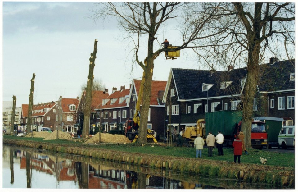 Het kappen van 41 populieren aan de Lorentzkade door Boomtotaalzorg. NL-HlmNHA 54036079