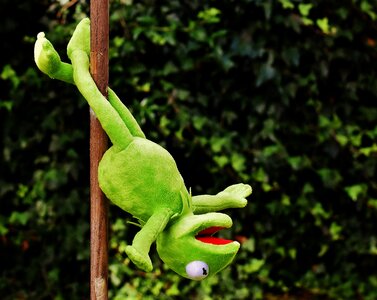 Soft toy animal toys