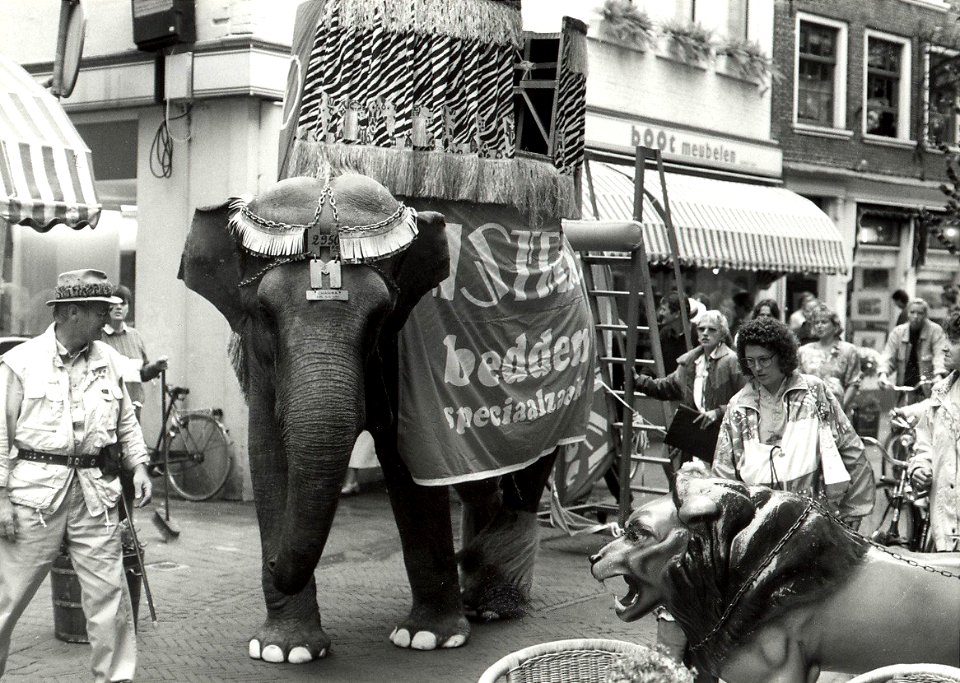 Het 35- jarig bestaan van beddenspeciaalzaak Astrid, voor de jeugd een ritje op de rug van de olifant. Aangekocht van United Photos de Boer bv. - Negatiefnummer 35041 k 5. - Gepubliceerd in het Haarle