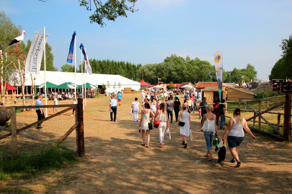 Hessentag 2015 - Sonderschau "Der Natur auf der Spur"