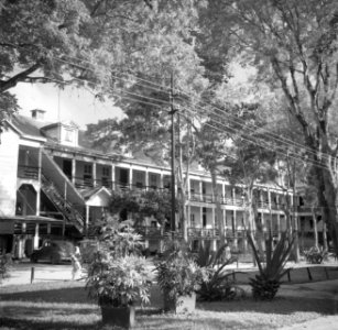 Het 's Lands Hospitaal in Paramaribo, Bestanddeelnr 252-6053
