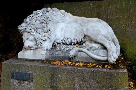 Hessenlöwe Gustav-Mahler-Treppe in Kassel