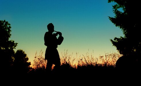 Musician dudochka silhouette flowers