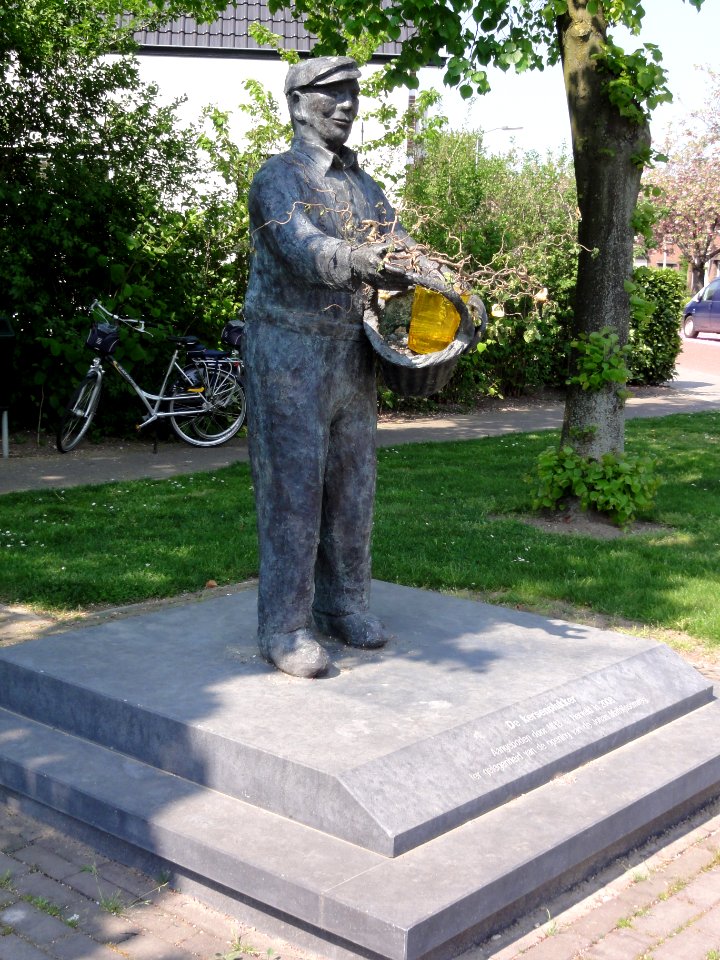 Herveld-N beeld de kersenplukker
