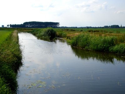 Hertogswetering, aux fond à droite Haren