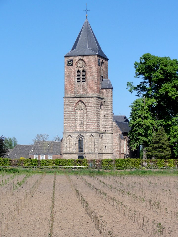 Herveld-Z Rijksmonument 36751 toren NH kerk