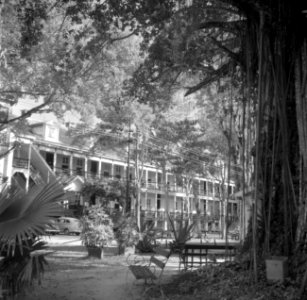 Het 's Lands Hospitaal in Paramaribo, Bestanddeelnr 252-6054
