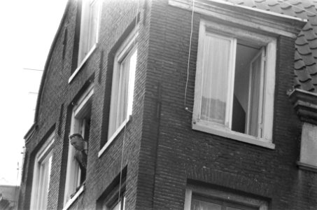 Het huis waar de moordenaar zich verschanste. Uit het raam kijkt een politieman, Bestanddeelnr 921-5853