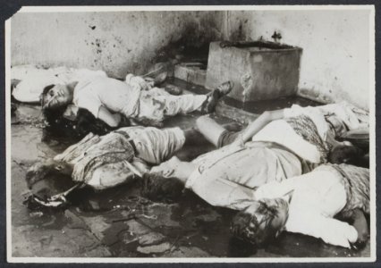 Het in de haast door de TNI neergeschoten Indonesiërs met dum-dum kogels in de g, Bestanddeelnr 344021 019