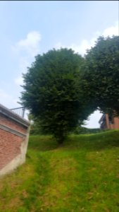 Herve-Les Six Fontaines (8)