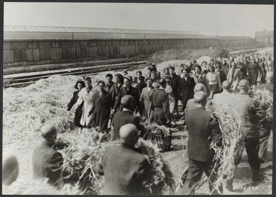 Het interneringskamp aan de Levantkade te Amsterdam. In de grote loodsen aan de , Bestanddeelnr 31017 073